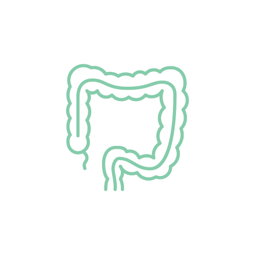 大腸カメラ検査