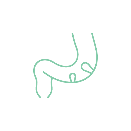 大腸ポリープ切除（日帰り）